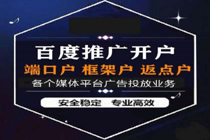 百度推广代理商成功案例：某行业巨头背后的推手